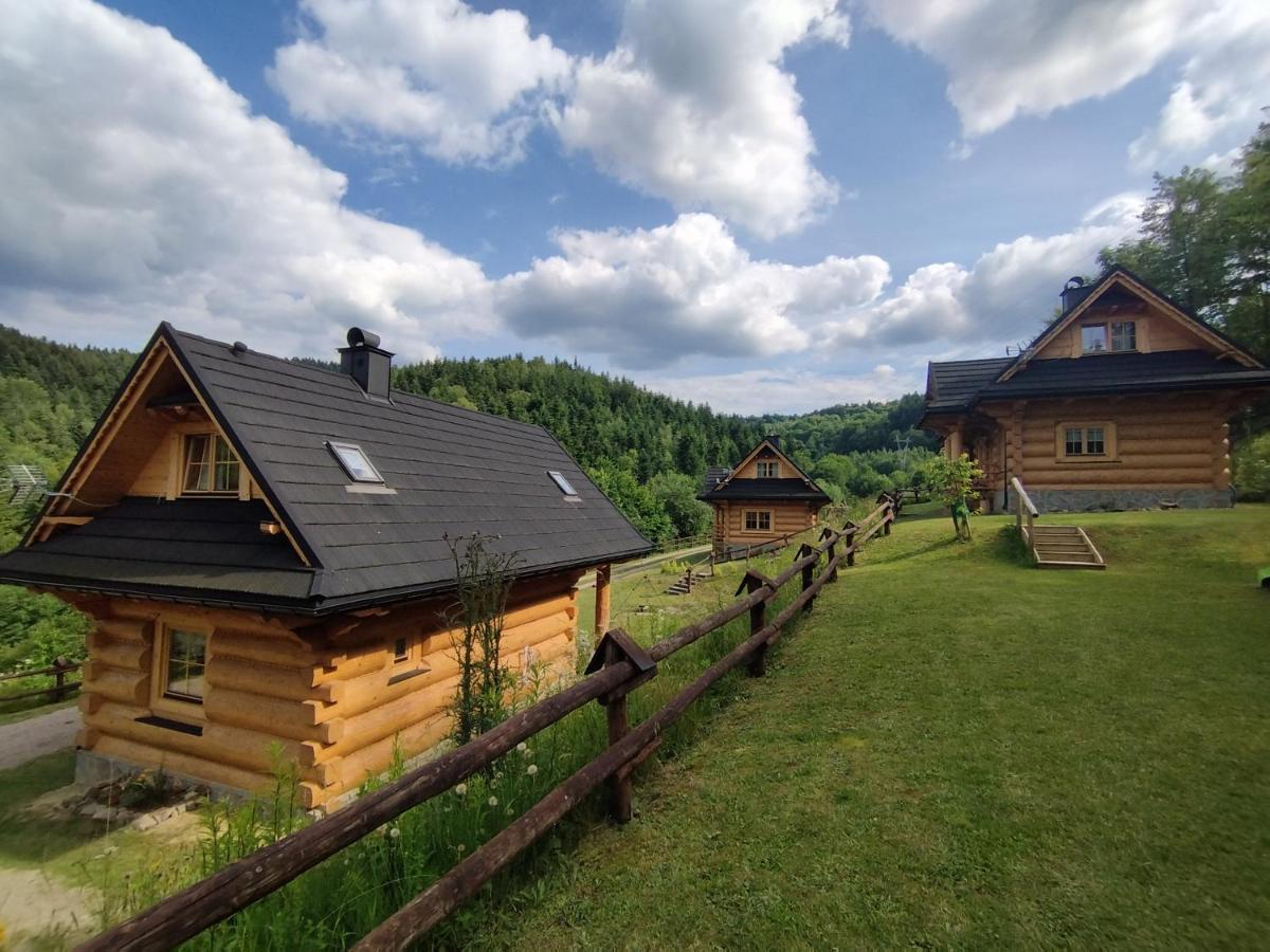 Osada Mala Kozowka Villa Myslenice ภายนอก รูปภาพ