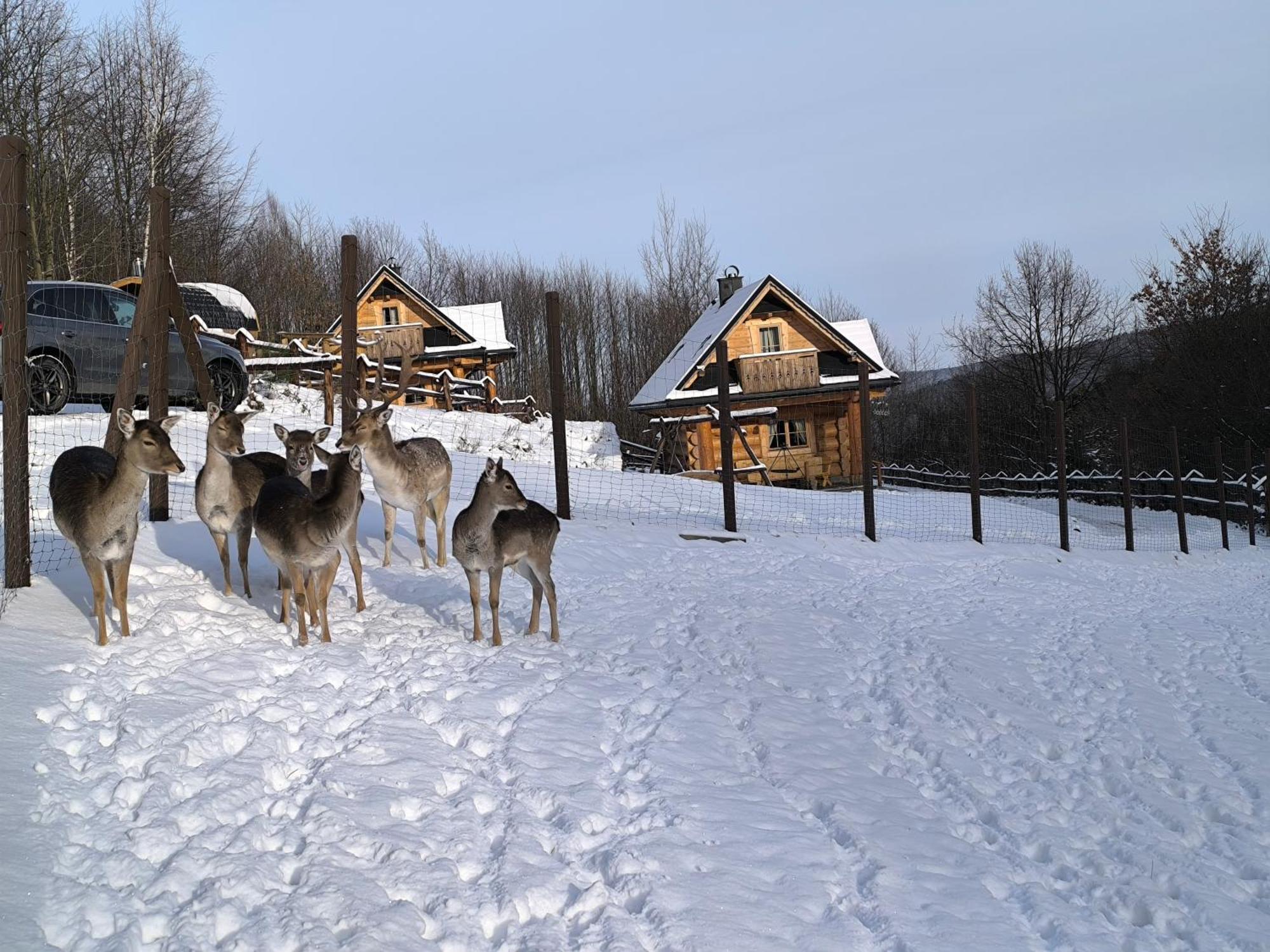 Osada Mala Kozowka Villa Myslenice ภายนอก รูปภาพ